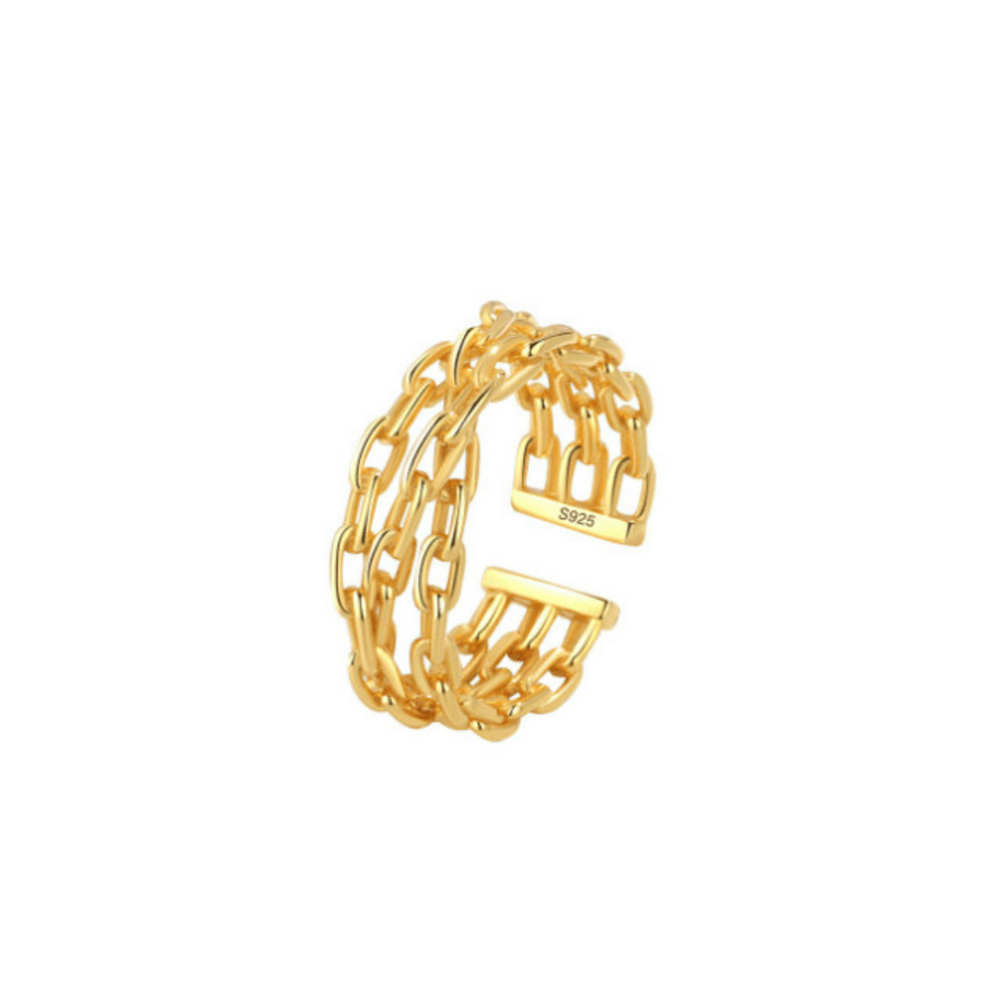 Paper clip chains ring