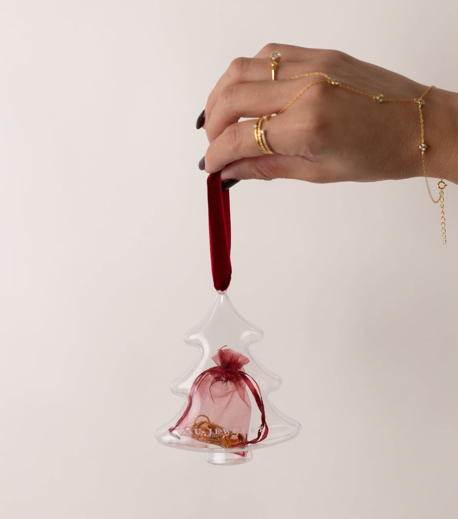 Mystery Christmas Ornament