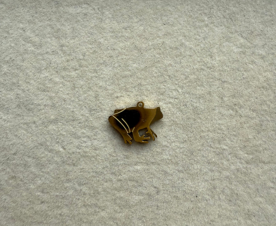Coquí charm